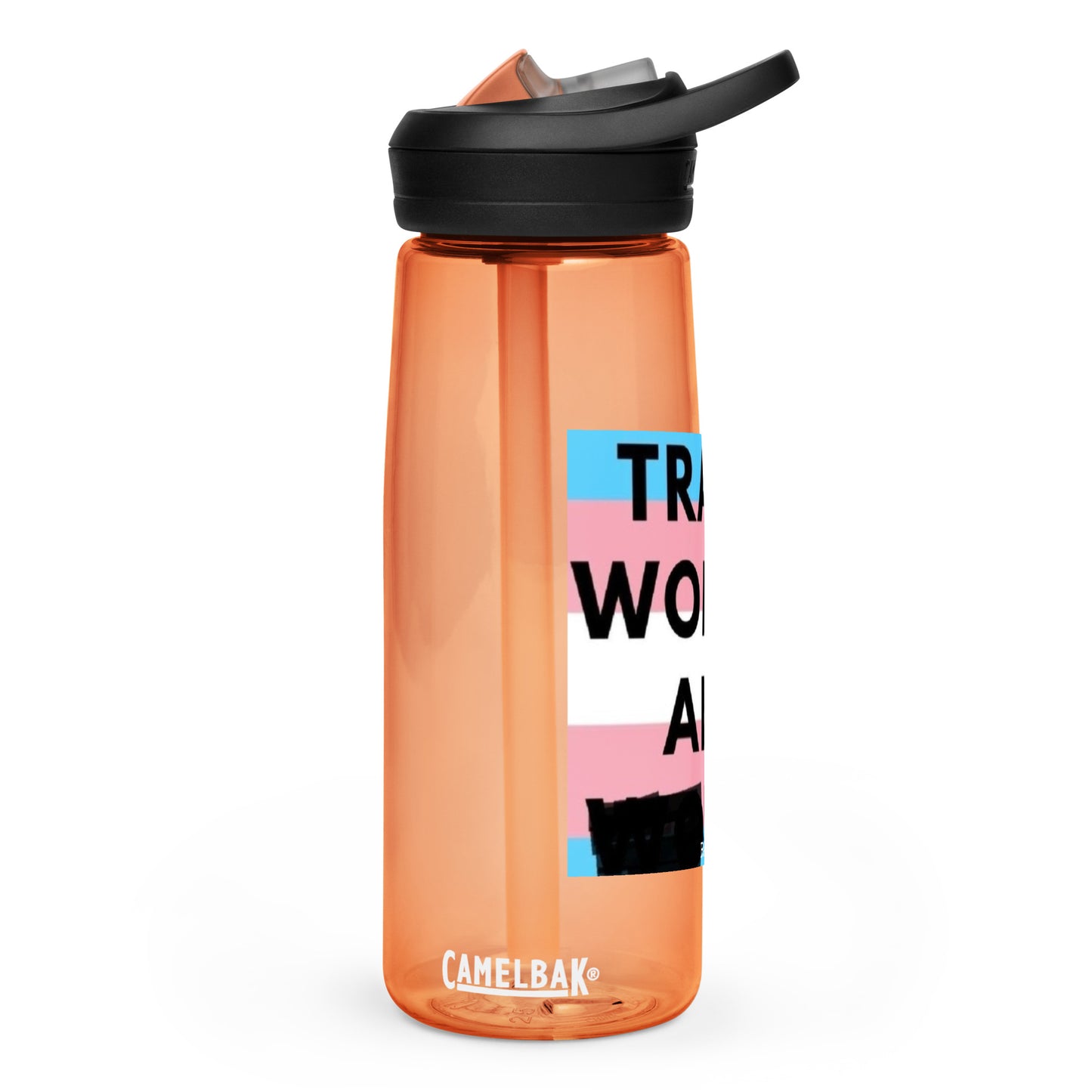 Trans Women are Men Sports water bottle, Pounder