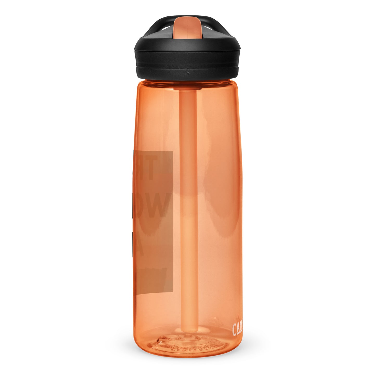 Trans Women are Men Sports water bottle, Pounder